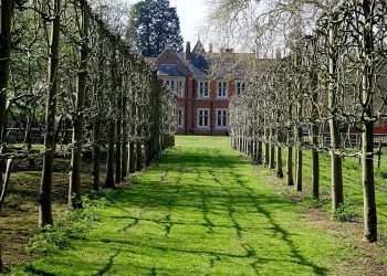 Year Round Outdoor Maintenance Tip