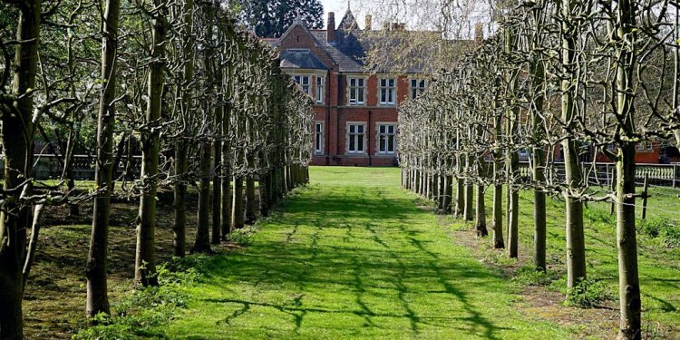 Year Round Outdoor Maintenance Tip